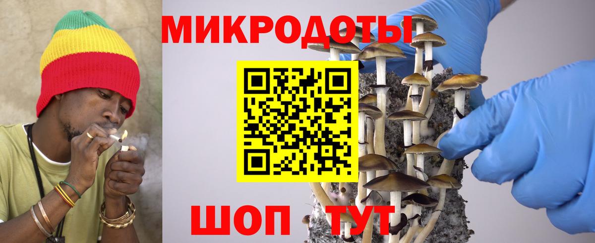 Псилоцибиновые грибы GOLDEN TEACHER  Галлюциногенные грибы Magic Shrooms  Будённовск  Вход с VPN 